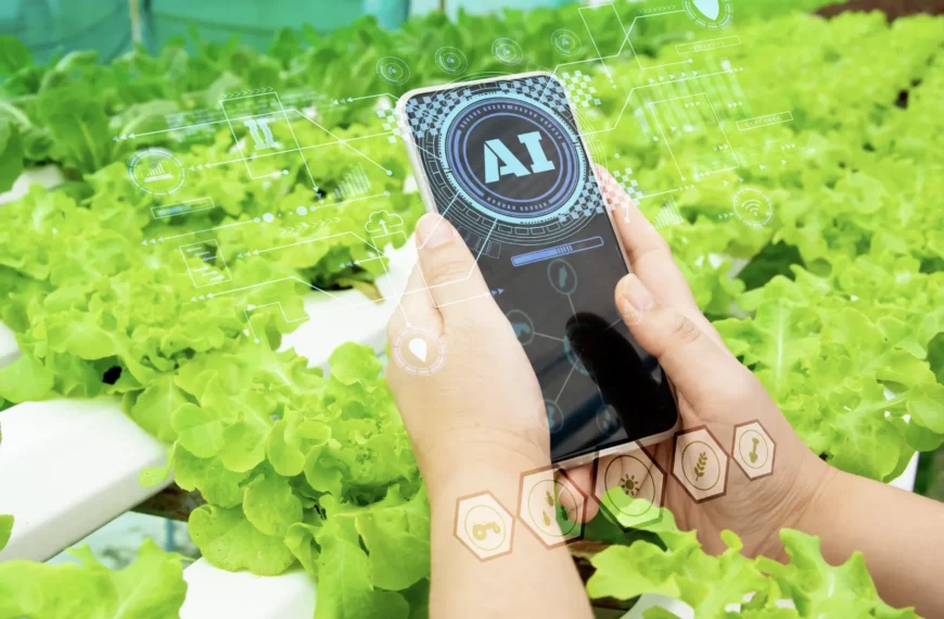Startup Teknologi Semarang Kembangkan AI untuk Optimalisasi Pertanian